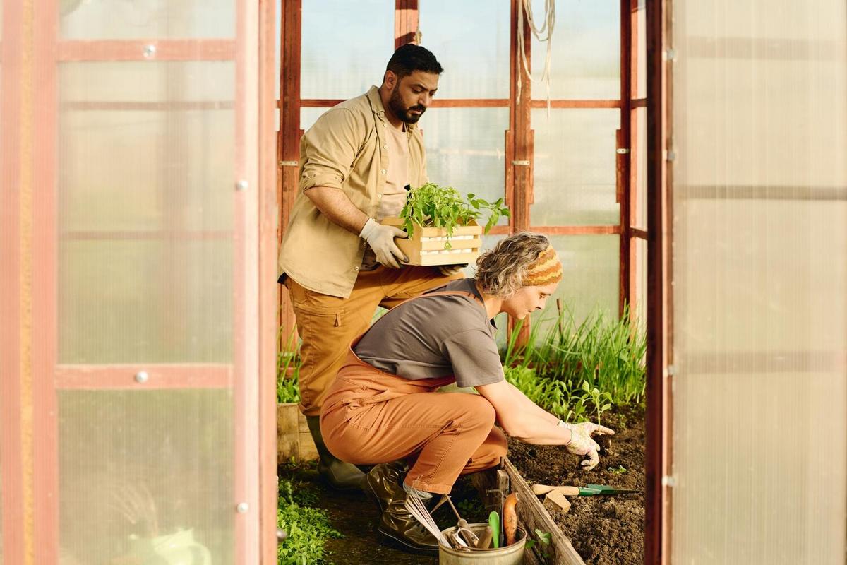 Build Your Own Compost Bin: A Guide to Sustainable Gardening