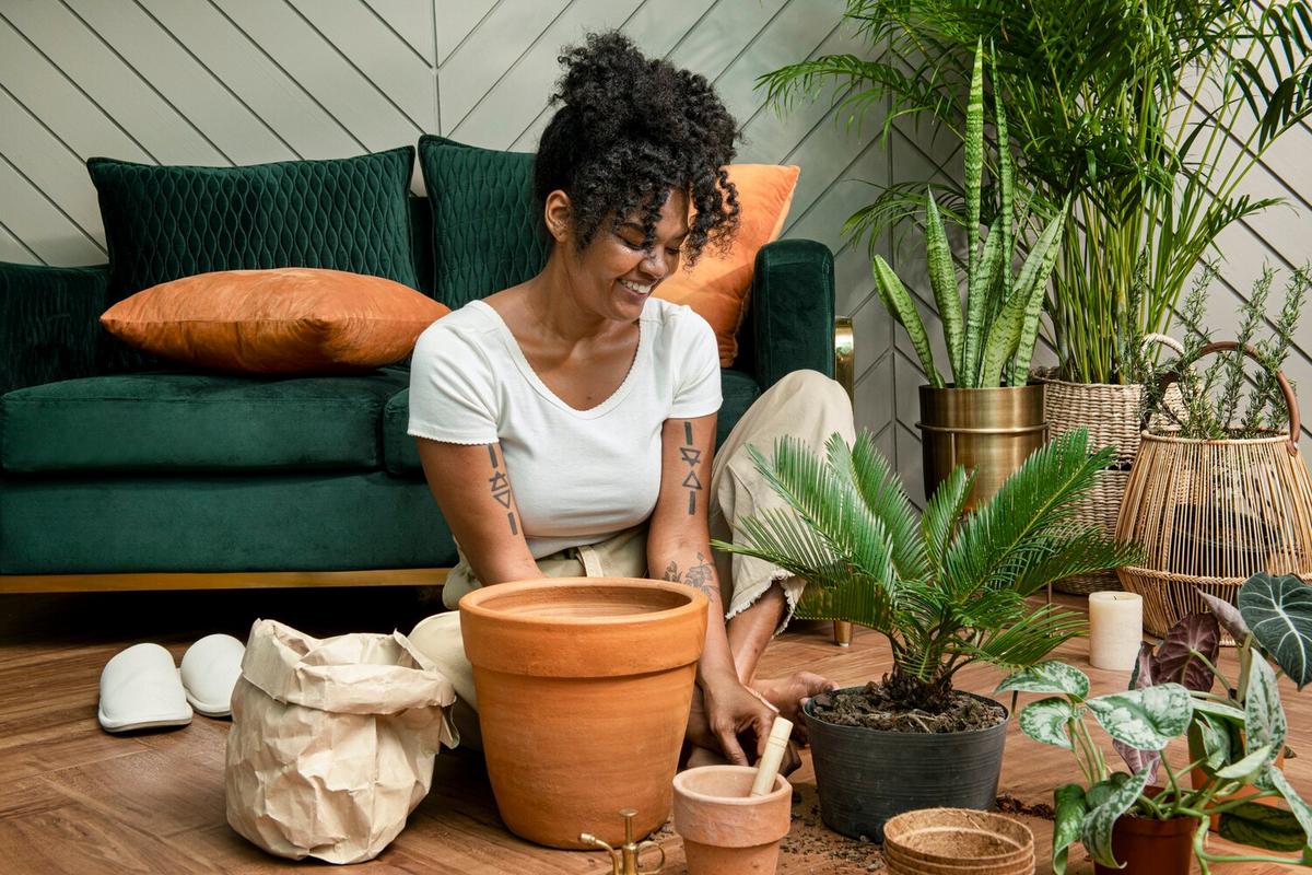 Eco-Friendly Home Decor Ideas for a Greener Living Space